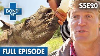 Bondi Vet Visits Kenya  | Bondi Vet Season 5 Ep 20 | Bondi Vet Full Episodes | Bondi Vet