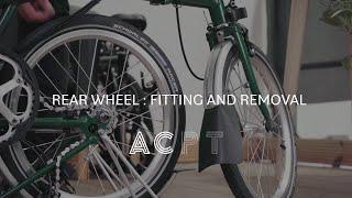 Rear wheel : fitting and removal