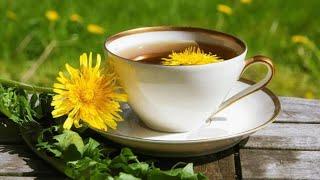 Ферментированный чай из одуванчиков,  просто и полезно для вашего здоровья