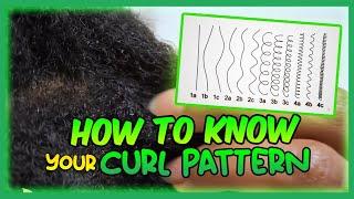 Do you really know your CURL PATTERN? How to test #shorts #naturalhair #curlyhair