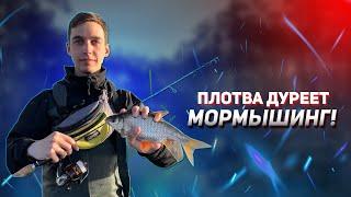 Ловля плотвы на мормышинг