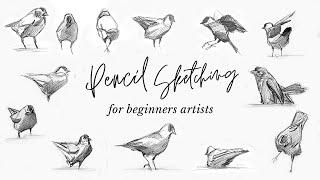 Quick sketching birds! A drawing exercise for beginner artists