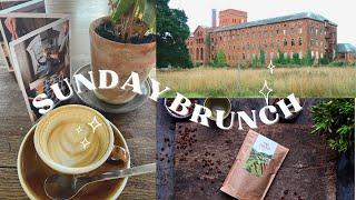 Cafe Brunch | Somerset Cafe | Makeup Routine | Charity Shopping | Daily Vlog | Victoria Evangeline