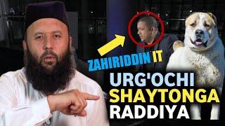 Zahiriddin IT ga Ustozdan raddiya