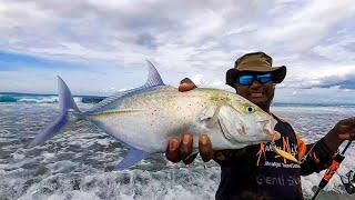 Bluefin Giant Trevally at Indonesia On Silau Spoon & Ultralight Fishing Setup