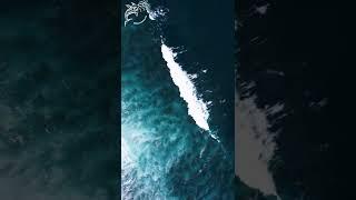 North waves #saomiguelisland #azores #ocean #surf #waves #biology #drone #dcdocumentaries