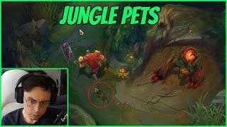 Caedrel Reacts To 2023 Jungle Changes | JUNGLE PETS