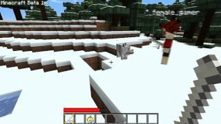 Minecraft Update 1.4 Beta Pet Wolfies!!