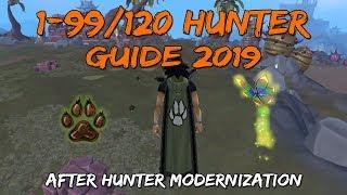 1-99/120 Hunter Guide 2019/2020 | After Hunter Modernization [Runescape 3]