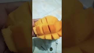 মজাদার ম্যাংগো আইসক্রিম এর রেসিপি #please# subscribe# sumaiya s kitchens &vlog