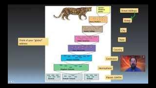 Taxonomy, Phylogeny and Systematics