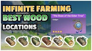 Best INFINITE Farming Wood Locations !!! (Part 1) [Genshin Impact]