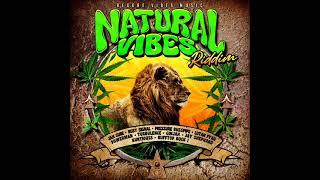 Turbulence - You Are Mine (OFFICIAL AUDIO) (Natural Vibes Riddim 2024) (New Reggae) (January 2024)