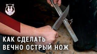 Forever sharp knife! How to do?