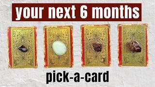 Your NEXT 6 MONTHS 2024 Timeless Reading  Pick A Card Tarot Reading