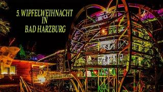 5.  Wipfelweihnacht - #harzausleidenschaft