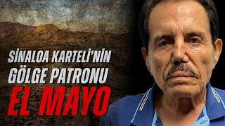 El Chapo'nun Ortağı El Mayo - Sinaloa Karteli'nin Gölge Patronu