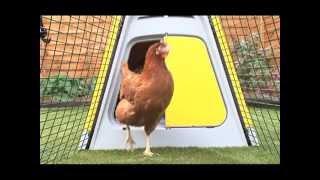 Eglu Go by Omlet - Modern Chicken House and Run