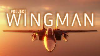 When One Man's Dream Becomes a Reality | Project Wingman Review