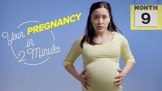 9 месяцев за 2 минуты: что происходит с женским телом во время беременности?