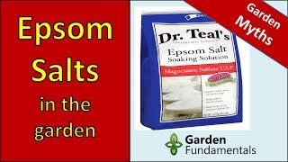 Epsom Salt Myths - learn the truth about using it in the garden [new research]