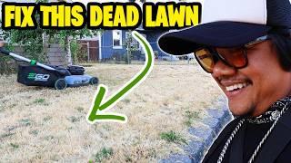 LET'S FIX THEIR LAWN ~ SUMMER GRASS FALL PREP ~  STEP ONE LAWN CLEAN UP ~ This is gonna be AH-FUN!