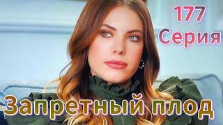 Запретный плод 177 серия на русском языке.  Новый турецкий сериал | Обзор