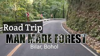 ROAD TRIP :Biyaheng  Bohol Man Made Forest : Ganda na!