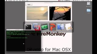 Delphi XE2 - FireMonkey Overview