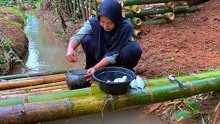 Masak dan Makan di Gubuk Bambu || menikmati suasana alam sekitar