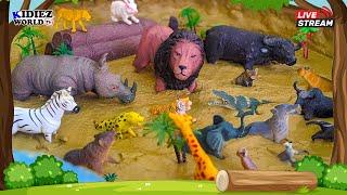 Playful Learning Wild African Animals for Kids & Toddlers | Kidiez World TV Live Stream
