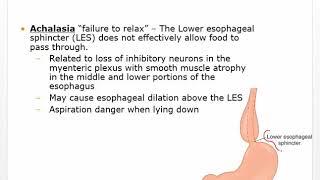 Ch 36 Part 1 Video Gastrointestinal (GI) disorders - Pathophysiology