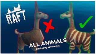 Every Animal and variation in Raft | Rare animals achievement too!