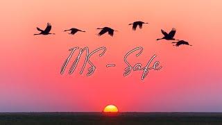 INS Safe (Official Lyrics Video)