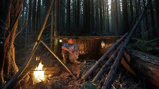 Surviving Alone in the Forest: Finding and Cooking Delicious Forest Snails in the Wild