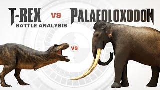 T-REX vs PALAEOLOXODON  | Battle FACEOFF Analysis