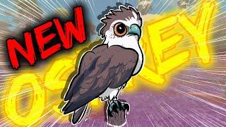 OSPREY IS HERE ON FEATHER FAMILY!!!!!