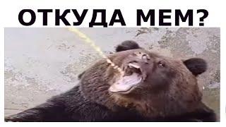 Медведь пьет мочу - ОТКУДА МЕМ?