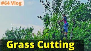 Grass Cutting in village #64 Vlog