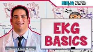 Cardiovascular | EKG Basics