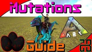 Mutations Guide - How to Stack Mutations | ARK: Survival Evolved