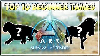 TOP 10 BEGINNER TAMES | ARK SURVIVAL ASCENDED
