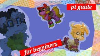 Guide for Beginners || PonyTown