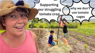 Why we Don’t Use Tomato Cages, and What we Now Use.