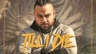 Till I Die  - Deep Jandu (FULL AUDIO) - RMG