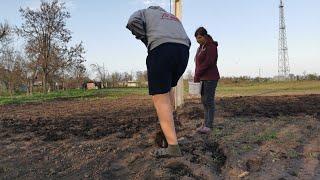 На огороде ужас. Посадили картошку. Будем бороться с бурьянами. Жизнь простых людей. Украина.