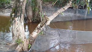 Perangkap ikan disungai