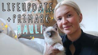 LIFE UPDATE + MEET OUR RAGDOLL KITTEN IVY | HUGE PRIMARK HAUL | HARRIET MILLS