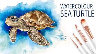 Paint A Watercolour Sea Turtle!