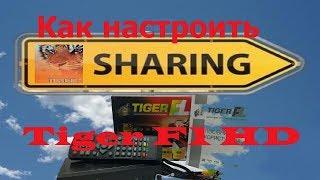 Как настроить sharing для Tiger F1 HD, OpenFox X6